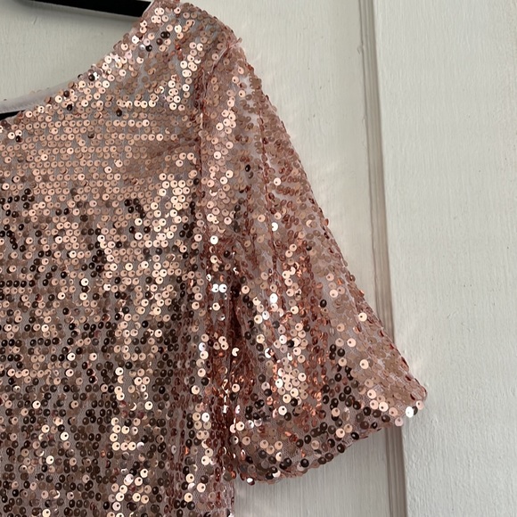 Blush Pink Sequin Top Size XL - Picture 2 of 10